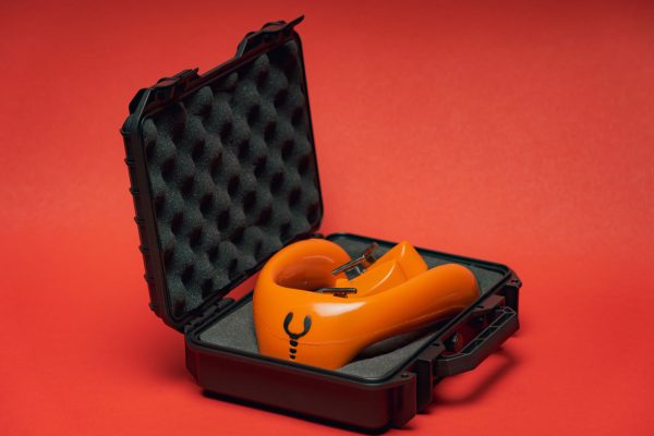 Lobster Case - Image 3
