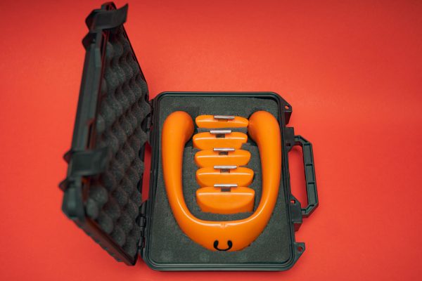 Lobster Case - Image 4