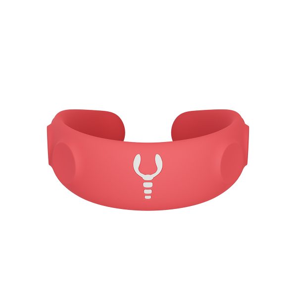Squid  Lite - Image 3
