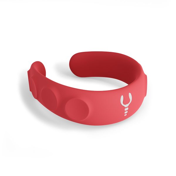Squid  Lite - Image 4