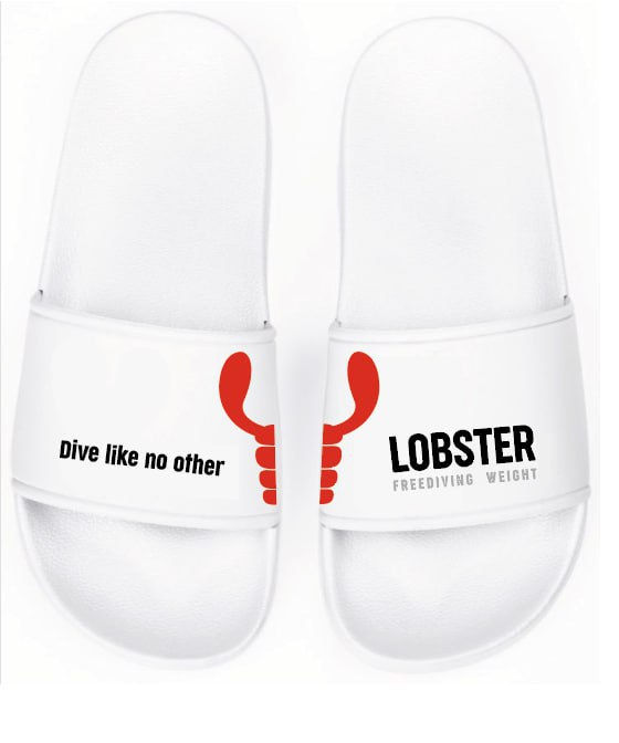 Lobster Slides