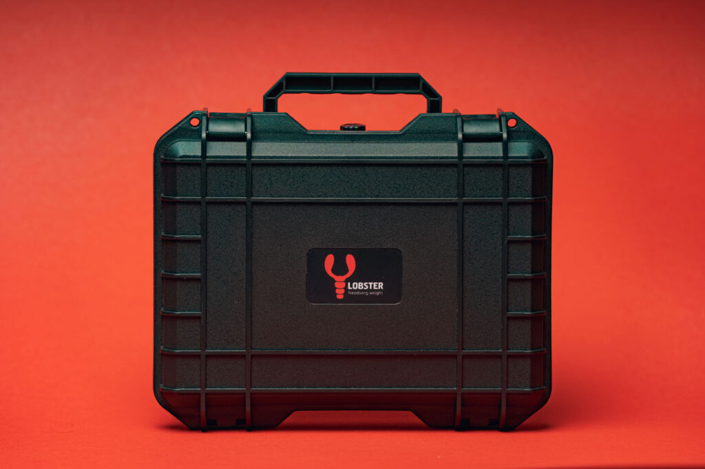Lobster Case
